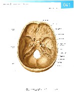 Sobotta Atlas of Human Anatomy  Head,Neck,Upper Limb Volume1 2006, page 48